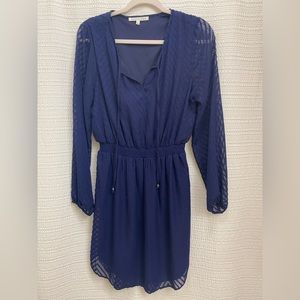 Daniel Rainn Navy Dress